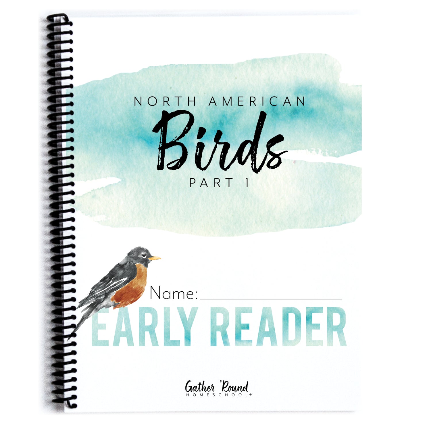North America Birds part 1 homeschool unit study student workbook early reader