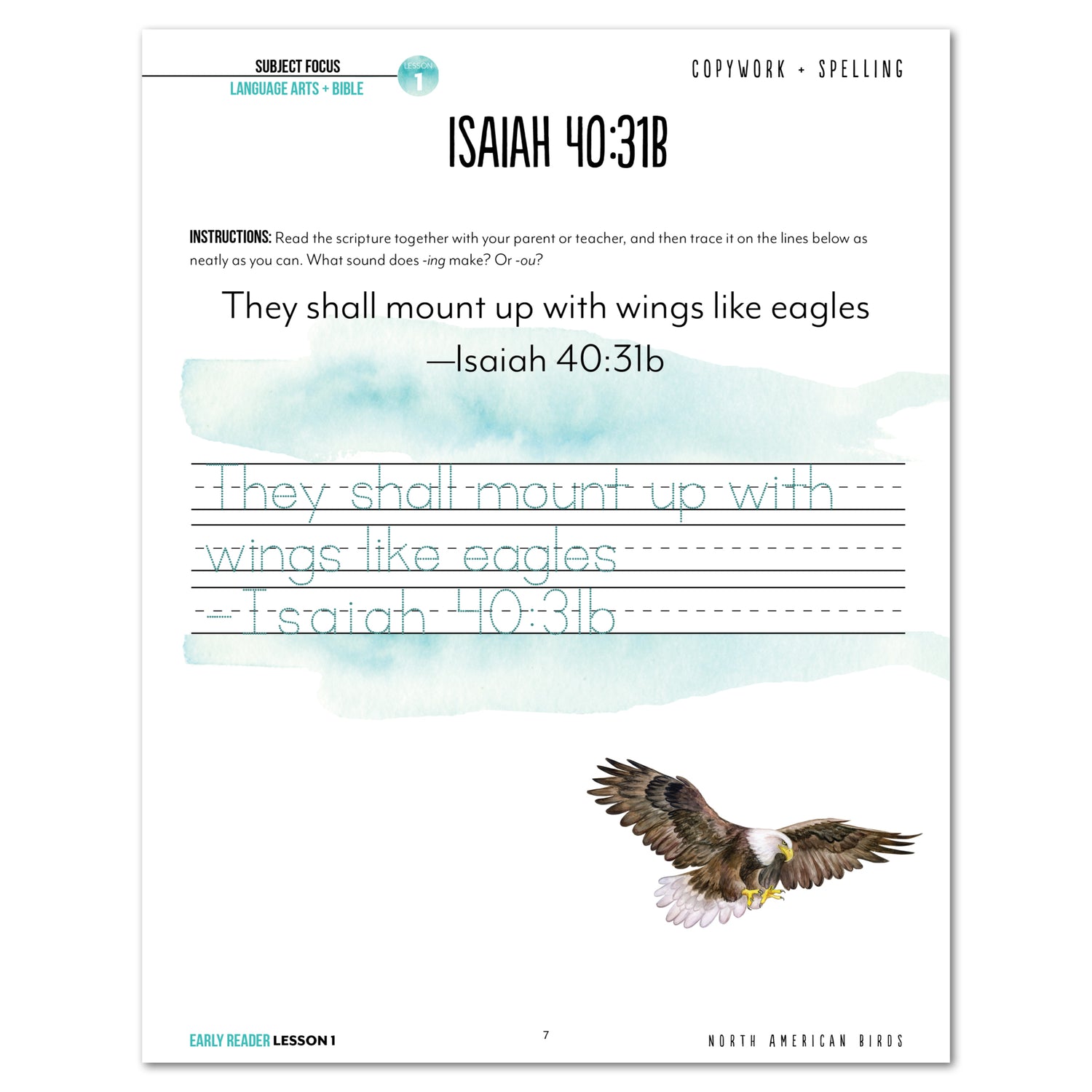 North America Birds part 1 homeschool unit study student workbook early reader lesson one