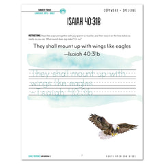 North America Birds part 1 homeschool unit study student workbook early reader lesson one