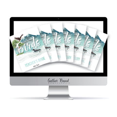 North American Birds part two homeschool unit study digital student workbook in all levels with teacher's guide bundle 
