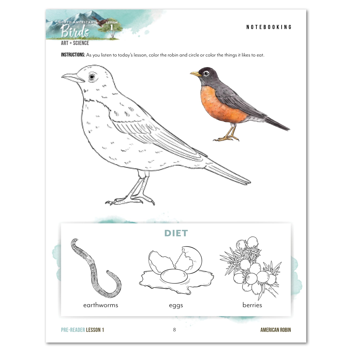 North American Birds part two homeschool unit study printed student workbook pre-reader lesson one