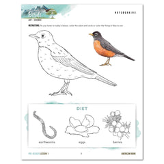 North American Birds part two homeschool unit study printed student workbook pre-reader lesson one