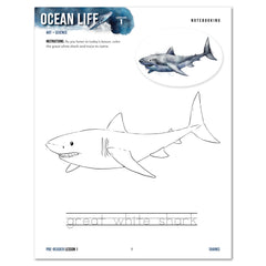 Ocean Life homeschool unit study print student workbook in pre-reader notebooking page