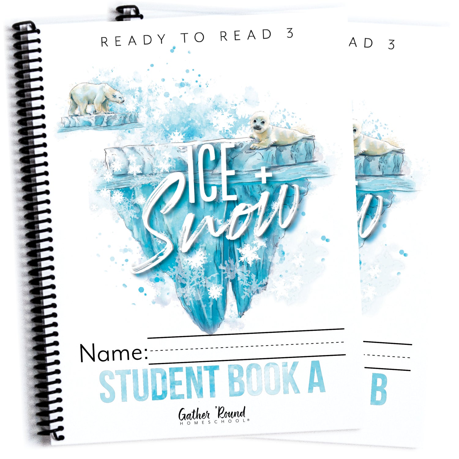 Ready to Read 3 At Ice + Snow Homeschool Unit Study Printed Student Book A and Student Book B