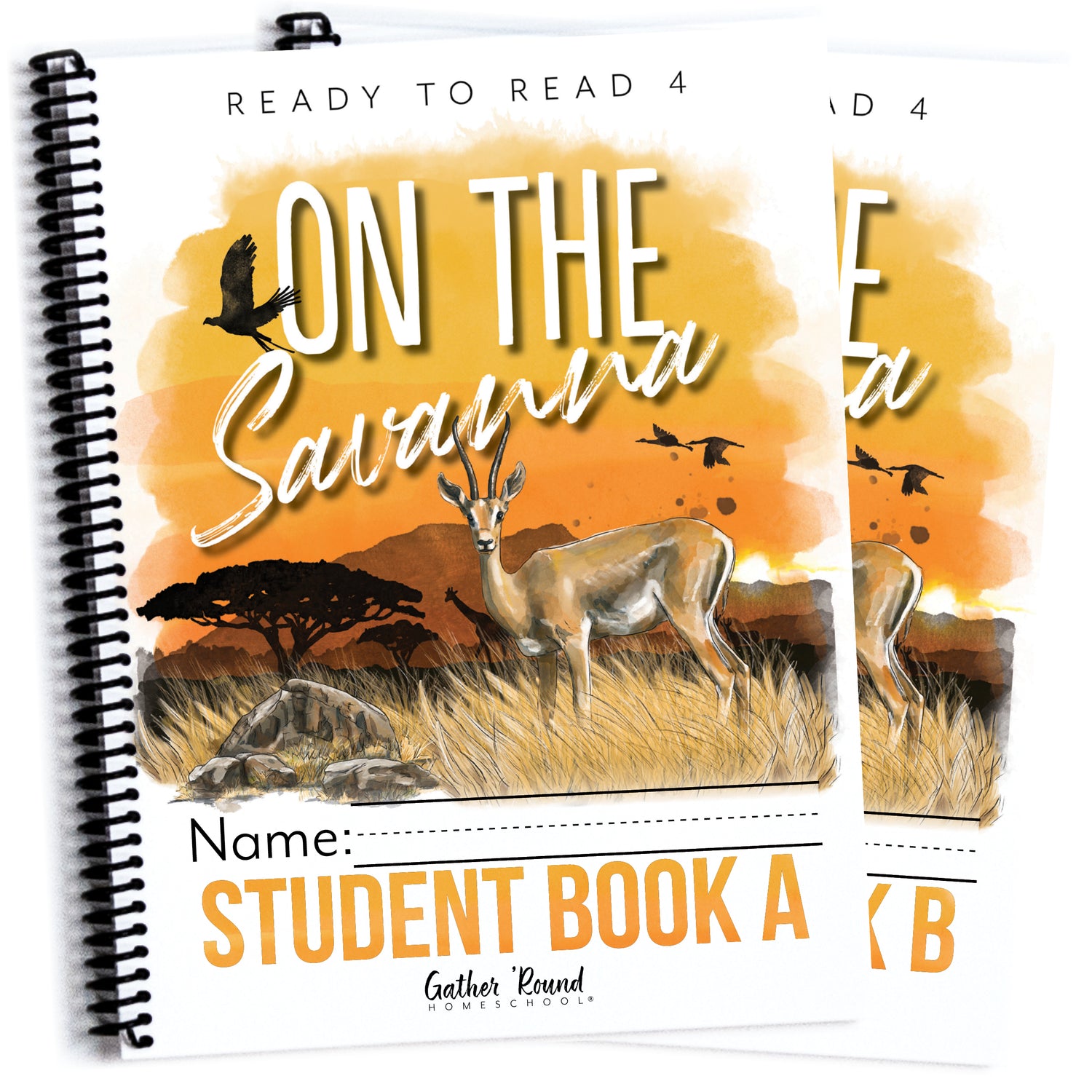 Ready to Read 4 On The Savannah Homeschool Unit Study Printed Bundle Student Book A and Student Book B