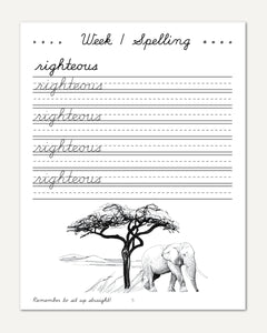 Africa homeschool unit study Digital Cursive Book Week 1 Spelling