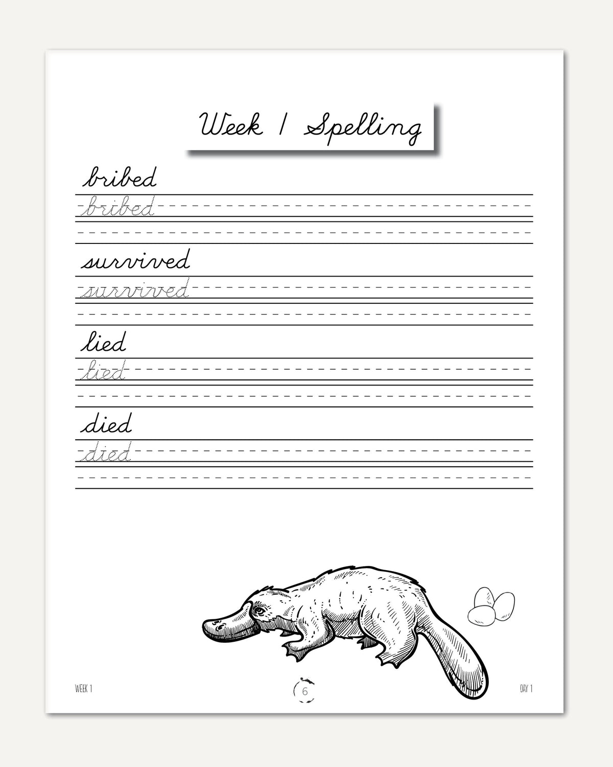 Australia + Oceania Homeschool Study Unit Digital Cursive Book Week 1 Spelling