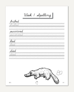 Australia + Oceania Homeschool Study Unit Digital Cursive Book Week 1 Spelling