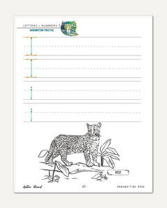 Letters + Numbers 3 In The Jungle Printed Handwriting Book Letter Ii practice