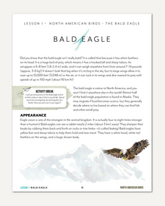 North America Birds part 1 homeschool unit study printed teacher's guide lesson one part one