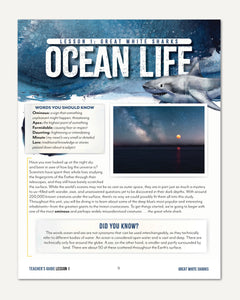 Ocean Life homeschool unit study digital teacher guide lesson one Great White Sharks