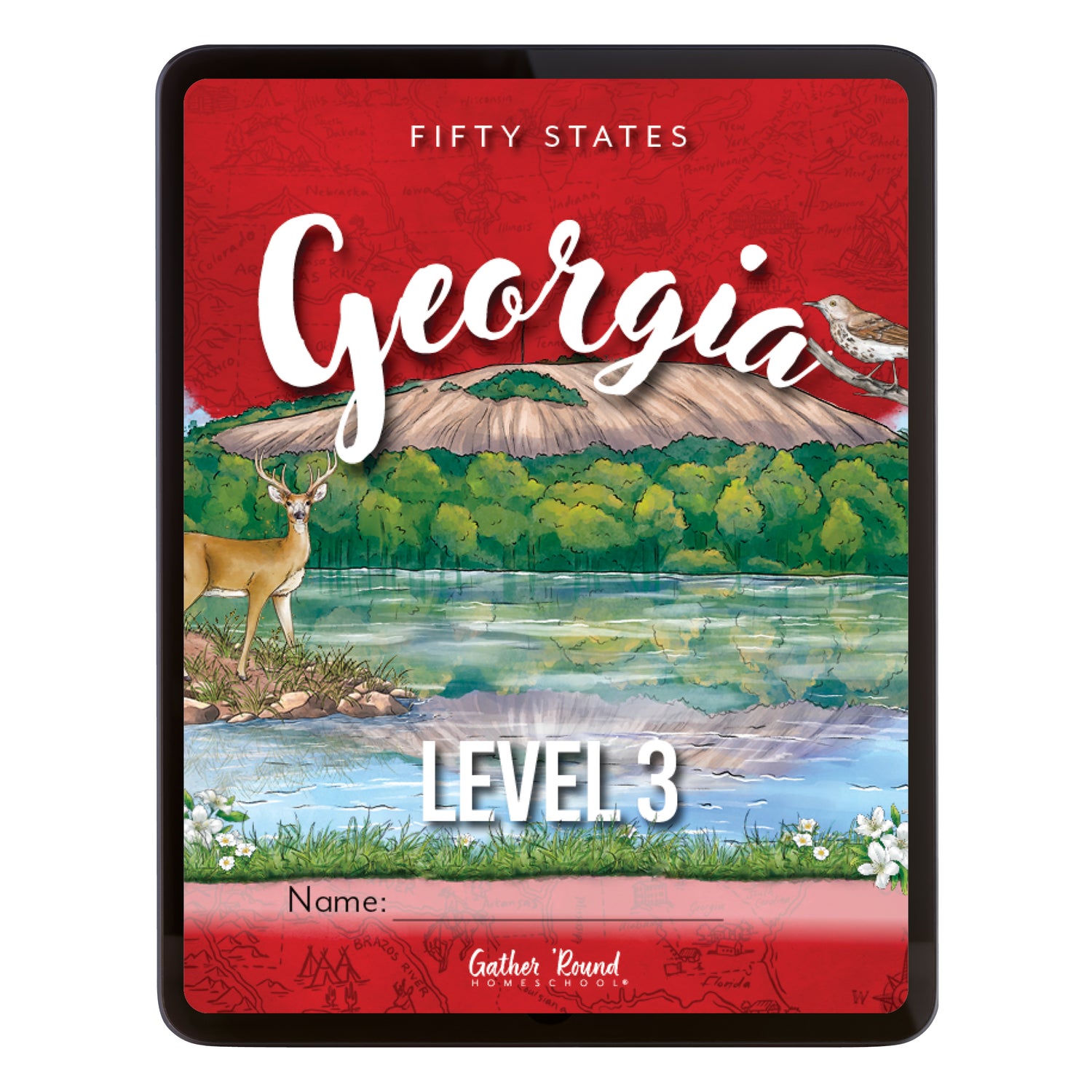 Georgia Fifty States Unit Digital Level 3 Cover