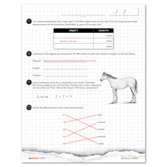Measurement Step 3 modular math homeschool printed book module 4 review