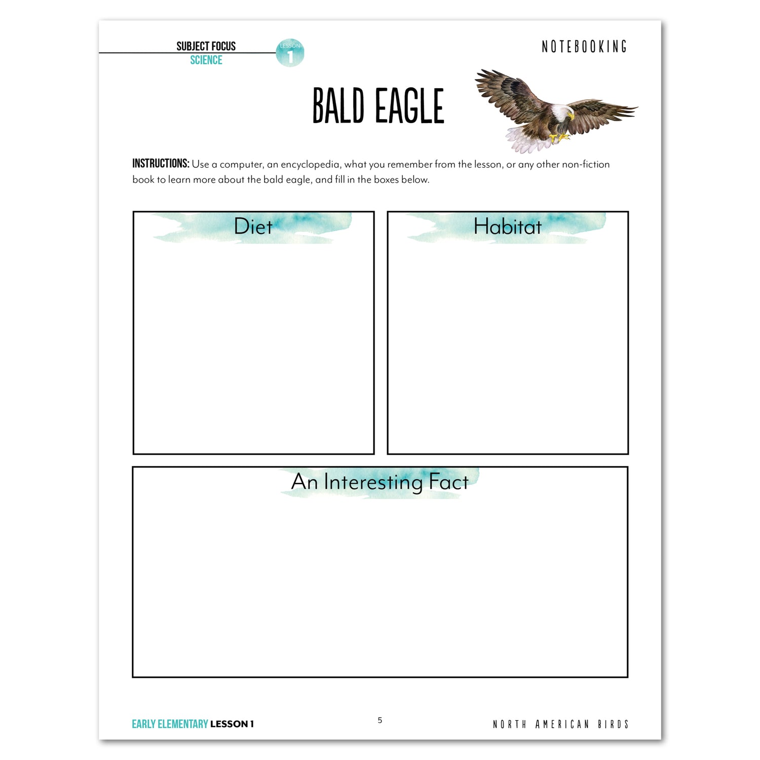 North America Birds part 1 homeschool unit study digital student workbook Early Elementary with Teacher's Guide lesson one