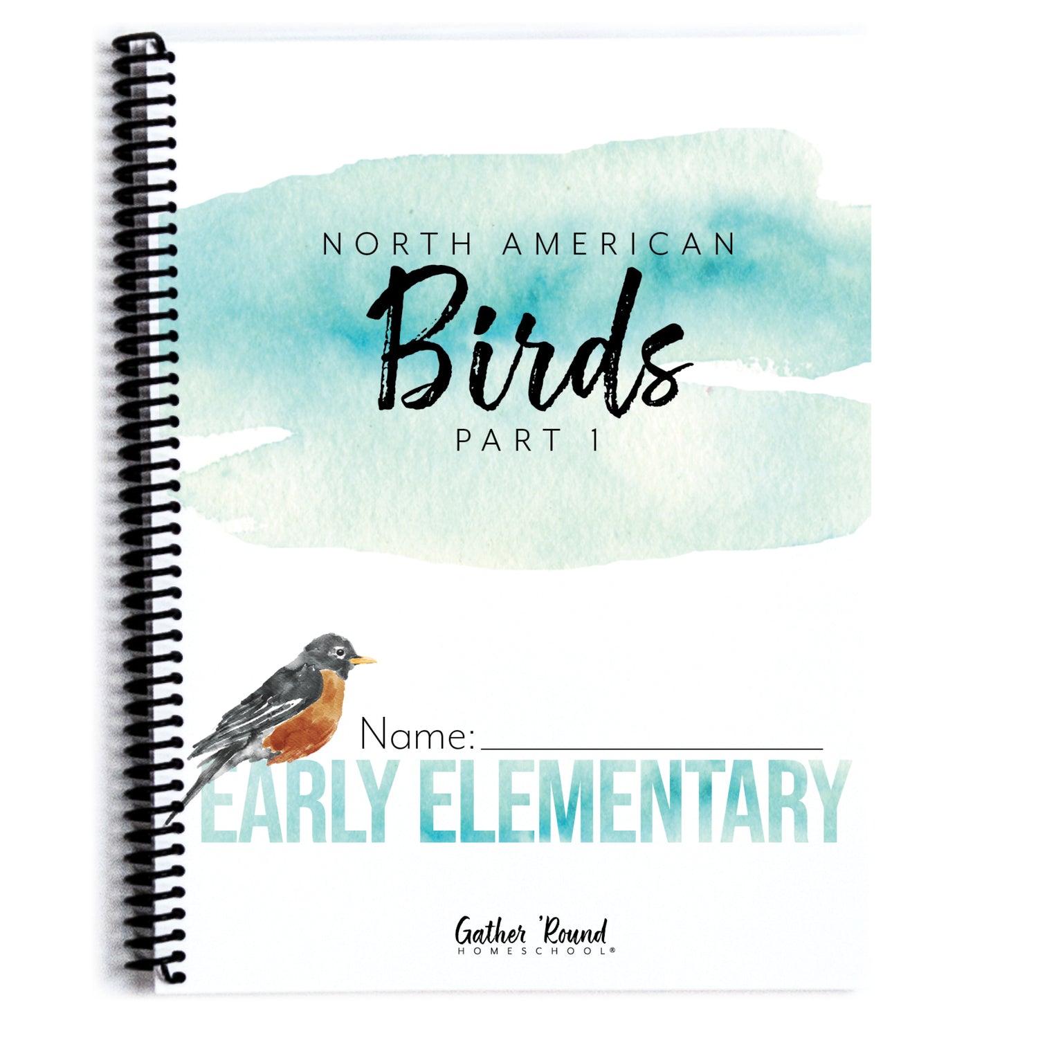 North America Birds part 1 homeschool unit study student workbook early elementary