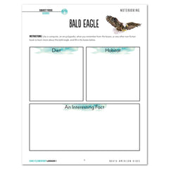 North America Birds part 1 homeschool unit study student workbook early elementary lesson one