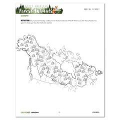North American Forest Animals homeschool unit study print student workbook early reader lesson one