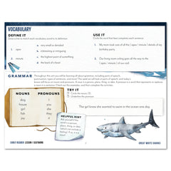 Ocean Life homeschool unit study digital seatwork journal in manuscript for early reader worksheet