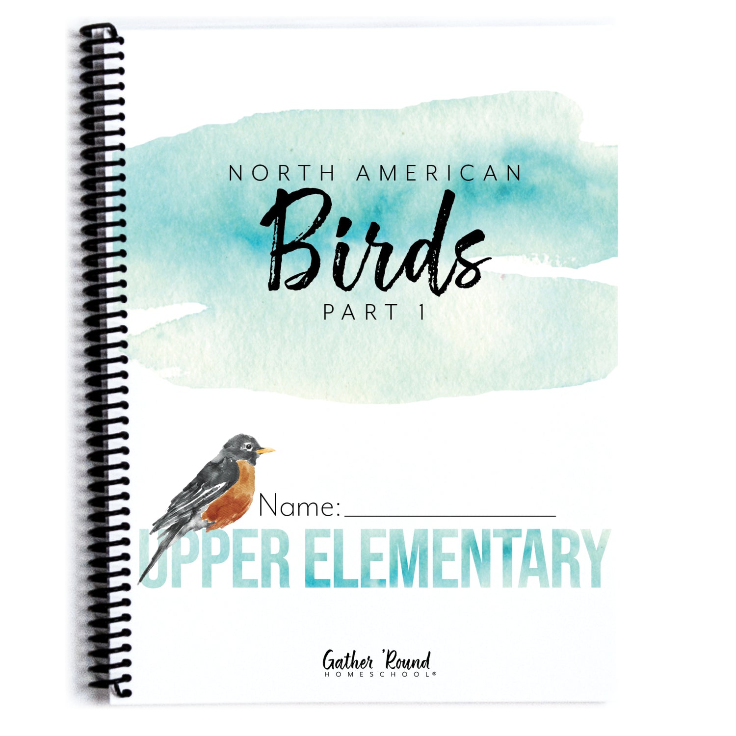 North America Birds part 1 homeschool unit study student workbook upper elementary