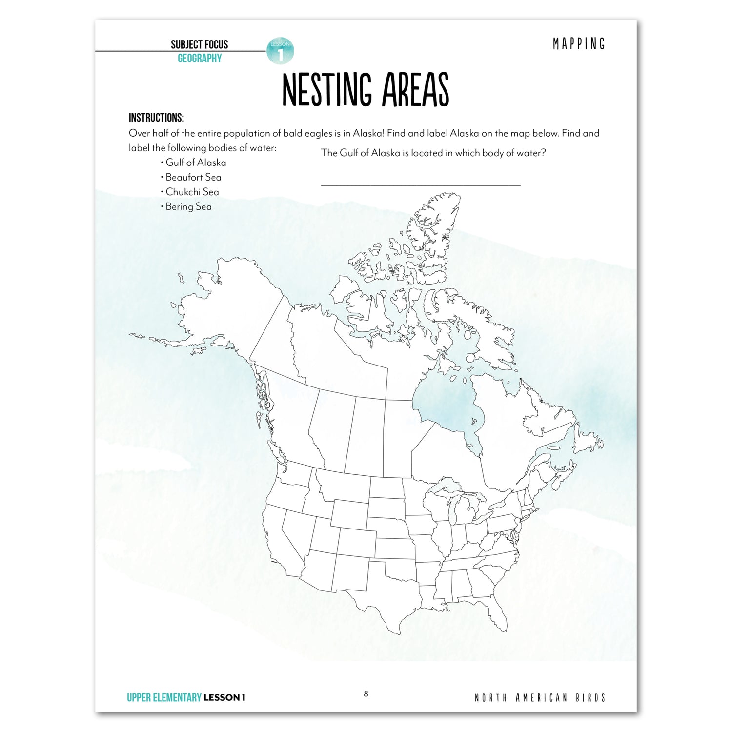 North America Birds part 1 homeschool unit study student workbook upper elementary lesson one