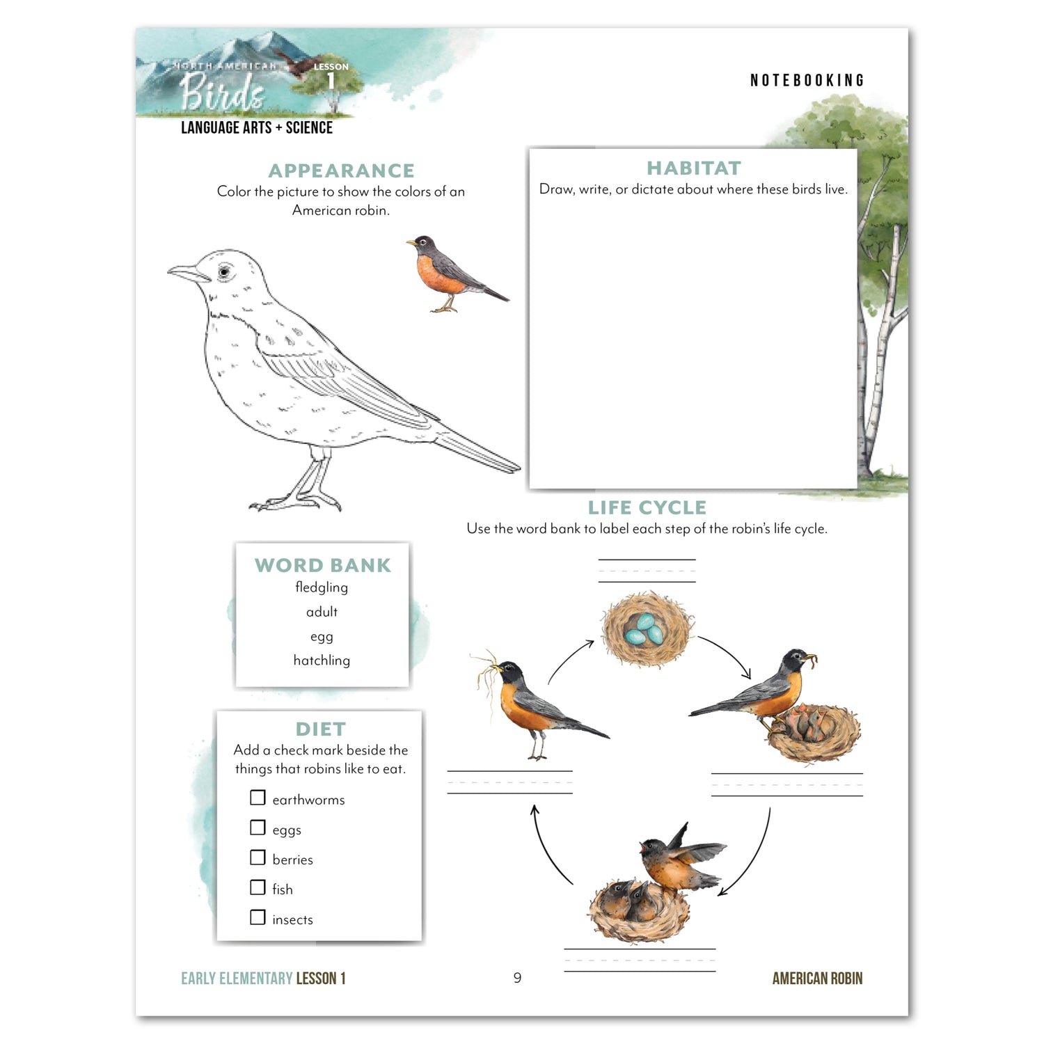 North American Birds part two homeschool unit study printed student workbook early elementary lesson one