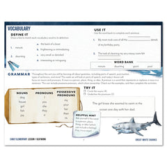 Ocean Life homeschool unit study digital seatwork journal in manuscript for early elementary worksheet