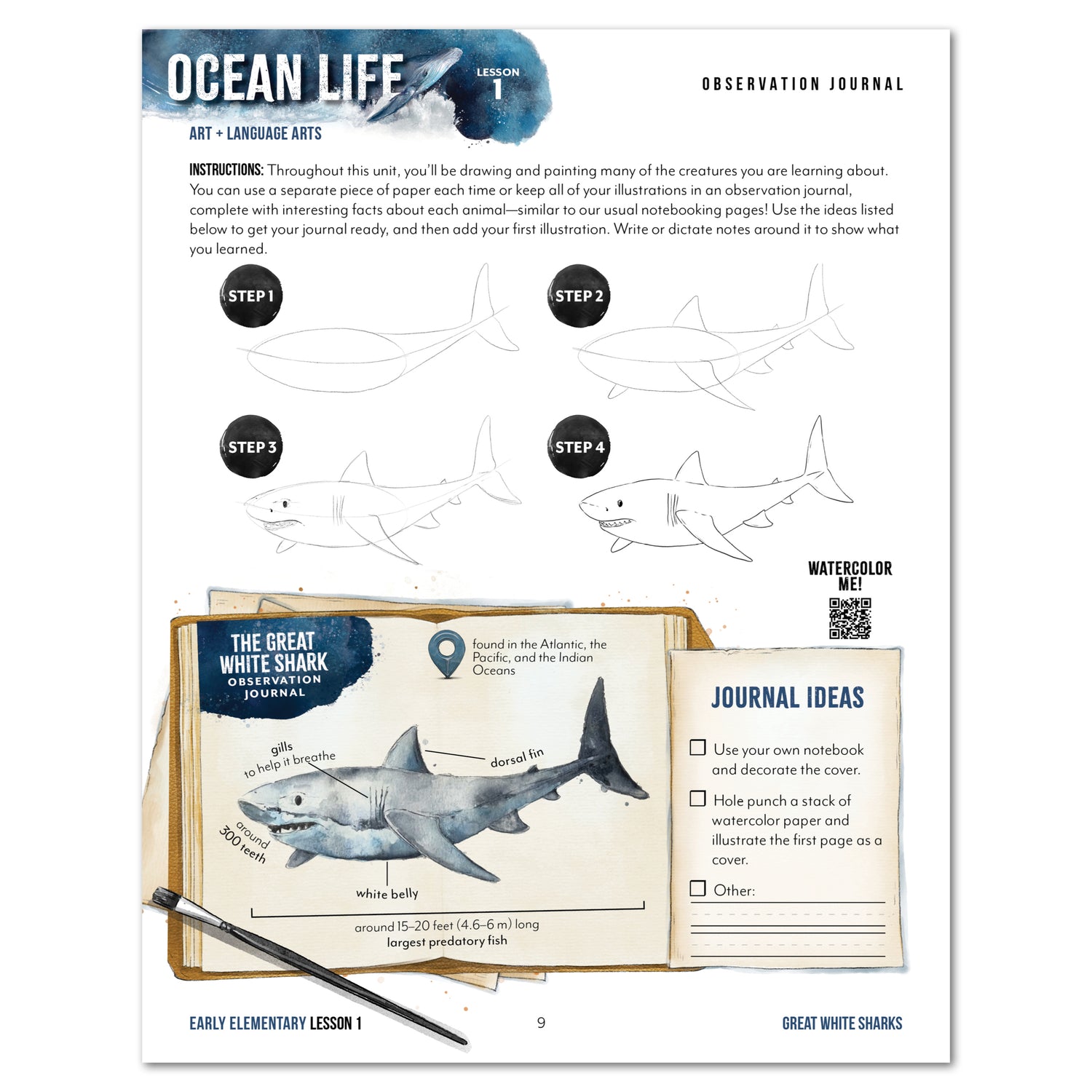 Ocean Life homeschool unit study print student workbook in early elemenary observation journal