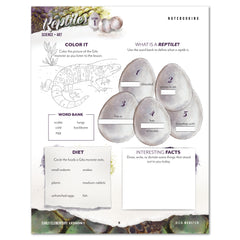 Reptiles homeschool unit study printed student workbook Early Elementary notebooking worksheet