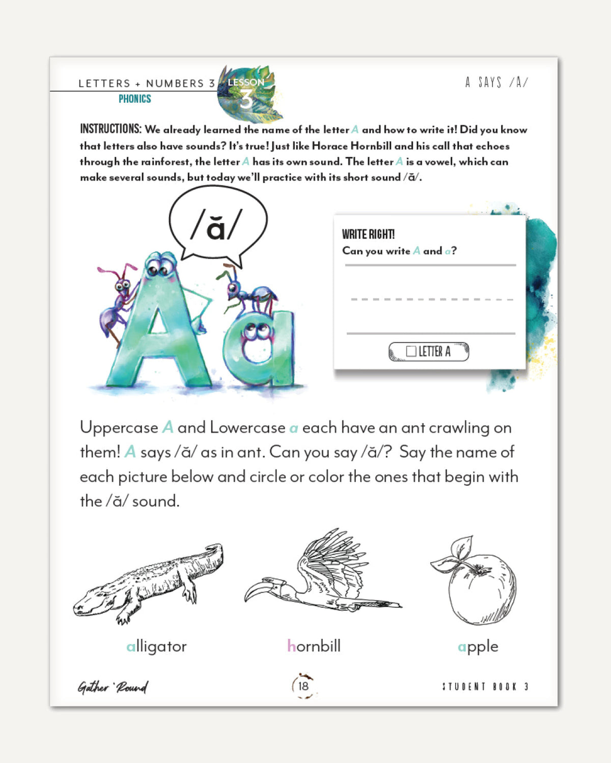 Letters + Numbers 3 In The Jungle Digital Student Book 3 Lesson 3 Phonics A says /A/