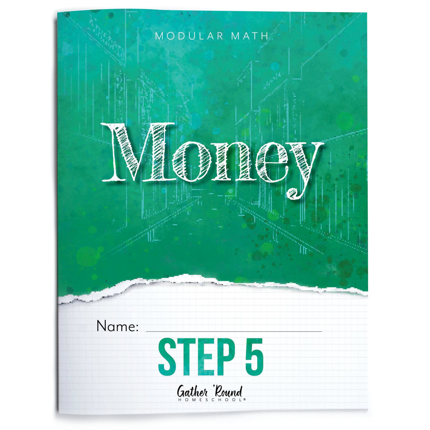 Money Modular Math step 5 printed book 