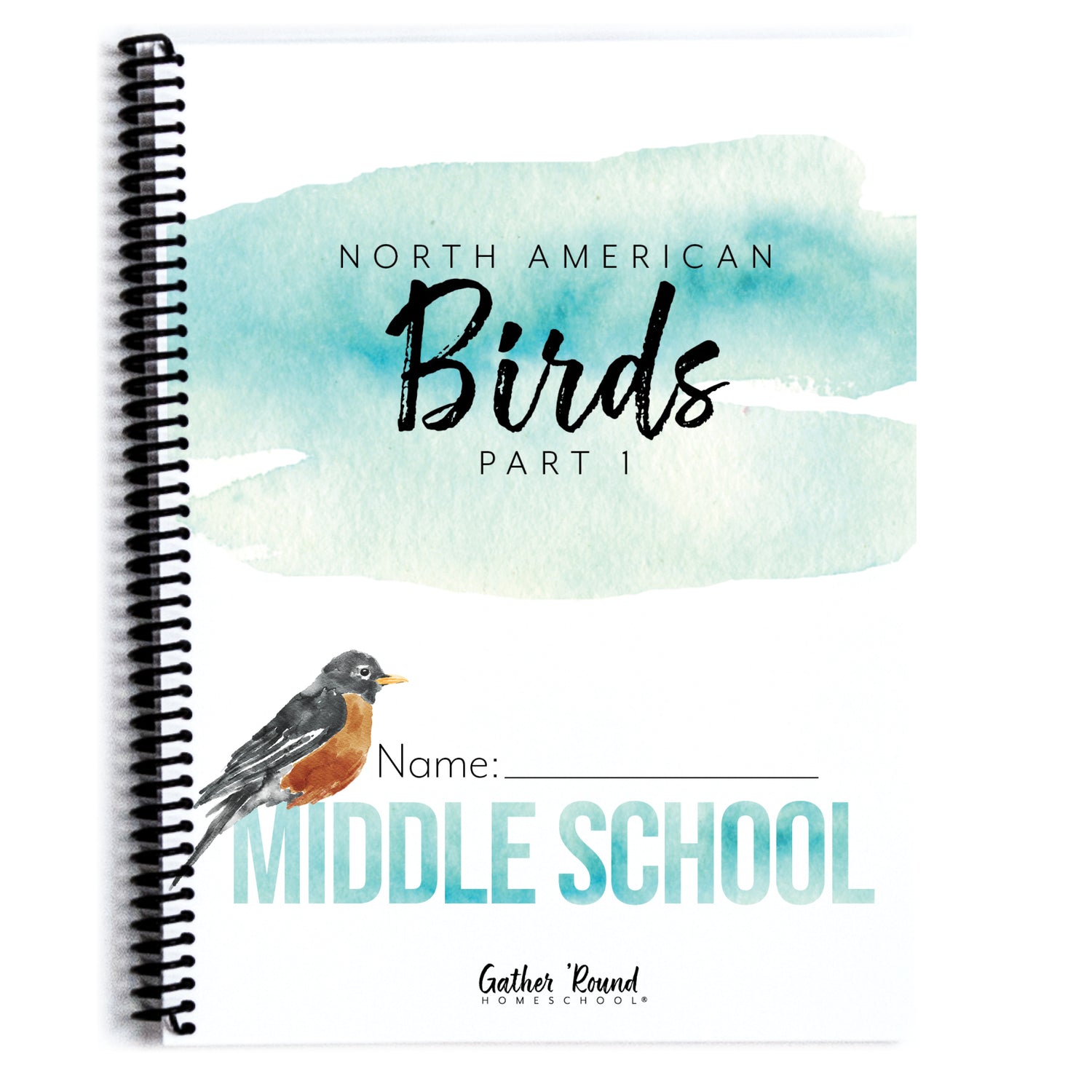 North America Birds part 1 homeschool unit study student workbook middle school 