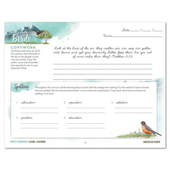 North American Birds part two homeschool unit study print student seatwork journal in cursive for upper elementary lesson one