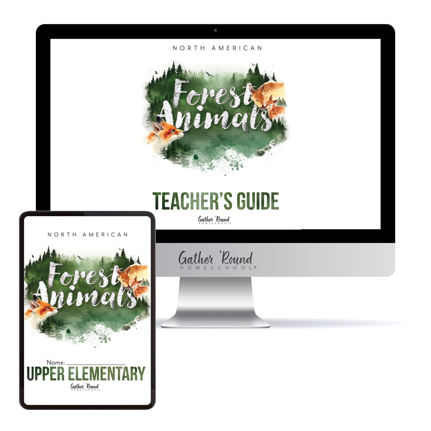 North American Forest Animals homeschool unit study digital student workbook  in upper elementary with teacher's guide bundle 