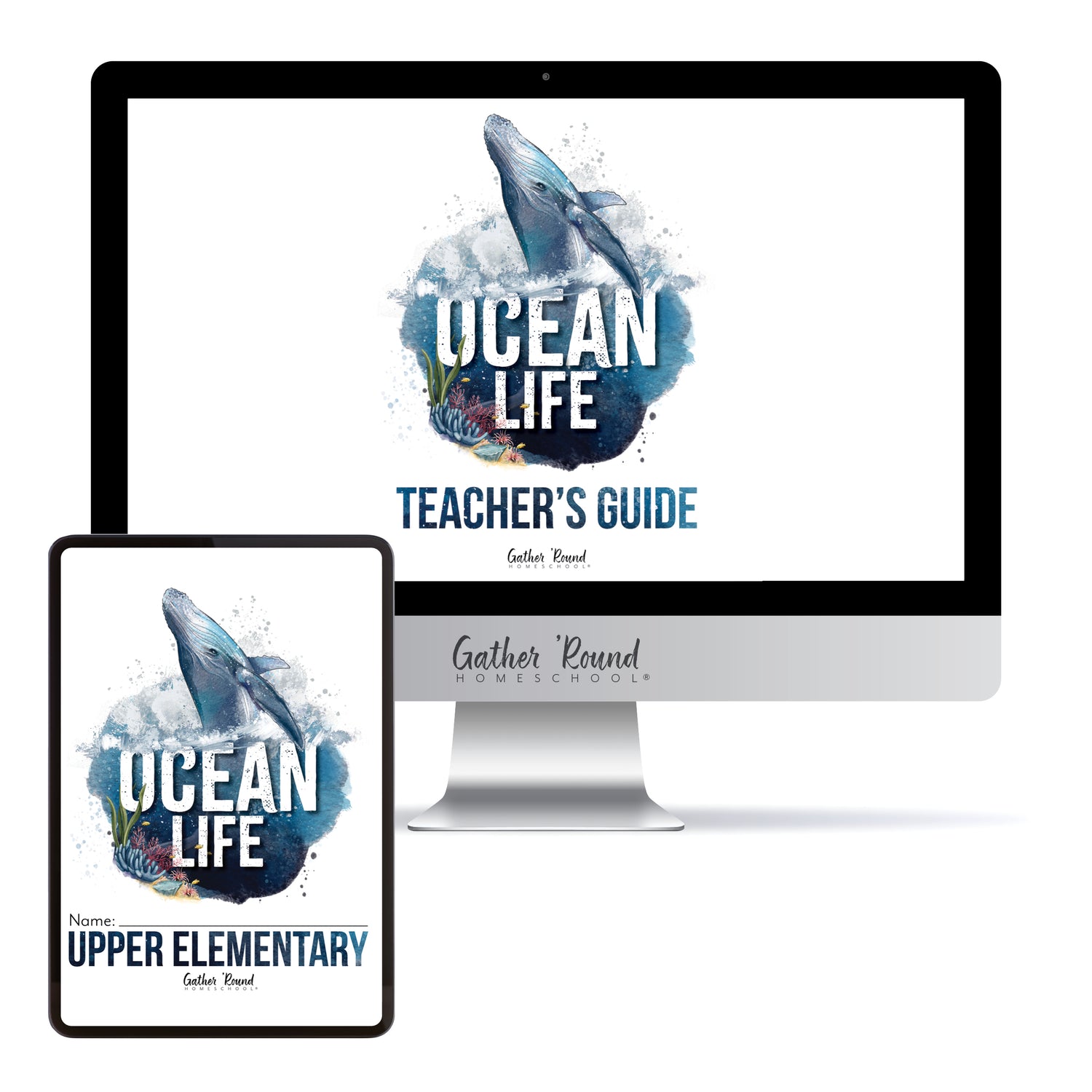 Ocean Life homeschool unit study digital student workbook for upper elementary with teacher's guide bundle 
