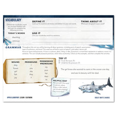 Ocean Life homeschool unit study digital seatwork journal in manuscript for upper elementary worksheet