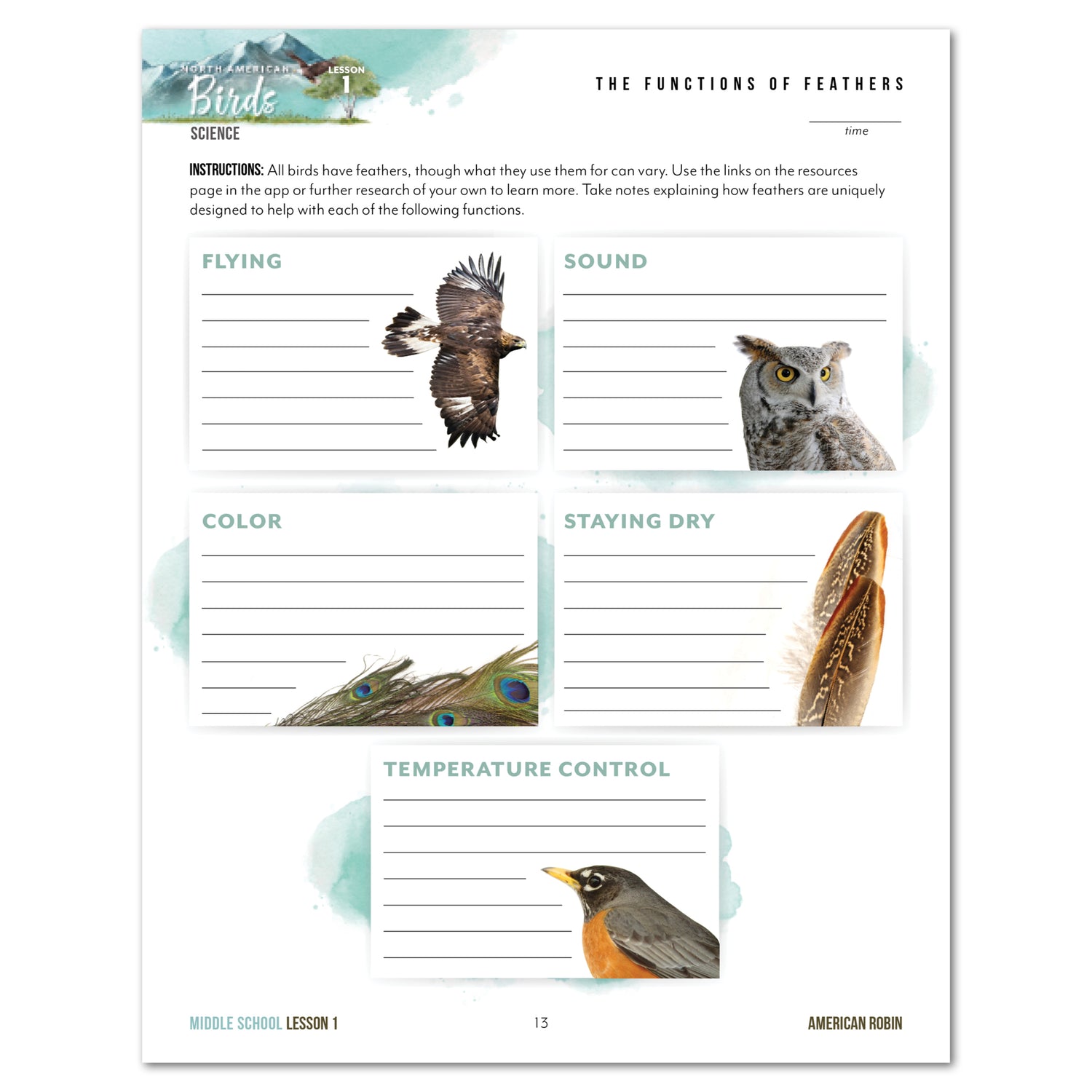 North American Birds part two homeschool unit study digital student workbook middle school with teacher's guide bundle lesson one