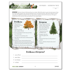 North American Forest Animals homeschool unit study print student workbook middle school lesson one