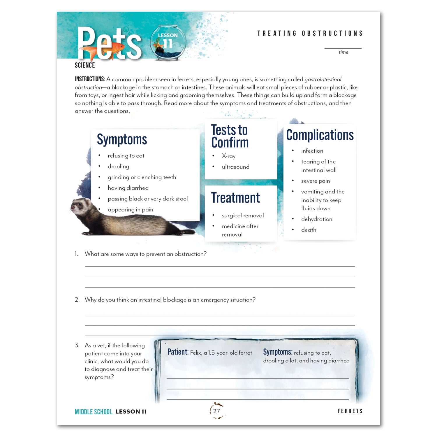 Pets homeschool unit study print student workbook middle school treating obstructions 