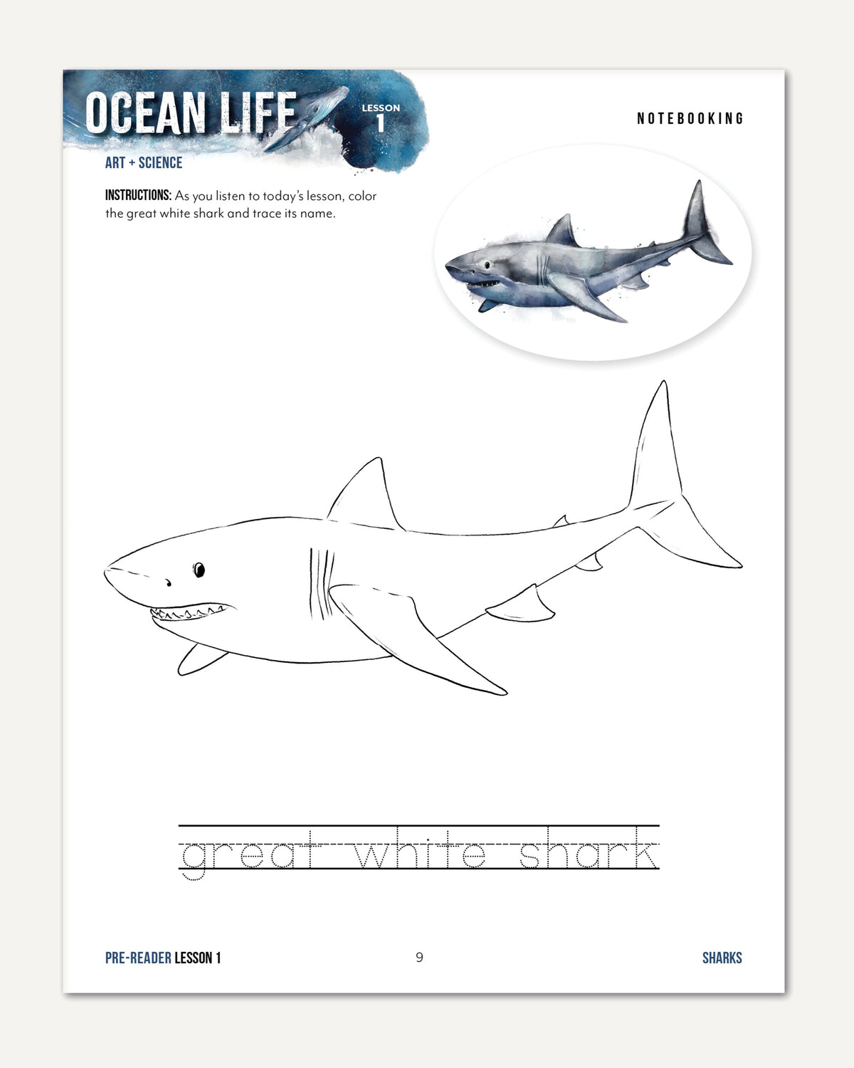 Ocean Life homeschool unit study digital student workbook for pre-reader with teacher's guide bundle  lesson one