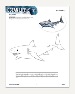 Ocean Life homeschool unit study digital student workbook for pre-reader with teacher's guide bundle  lesson one