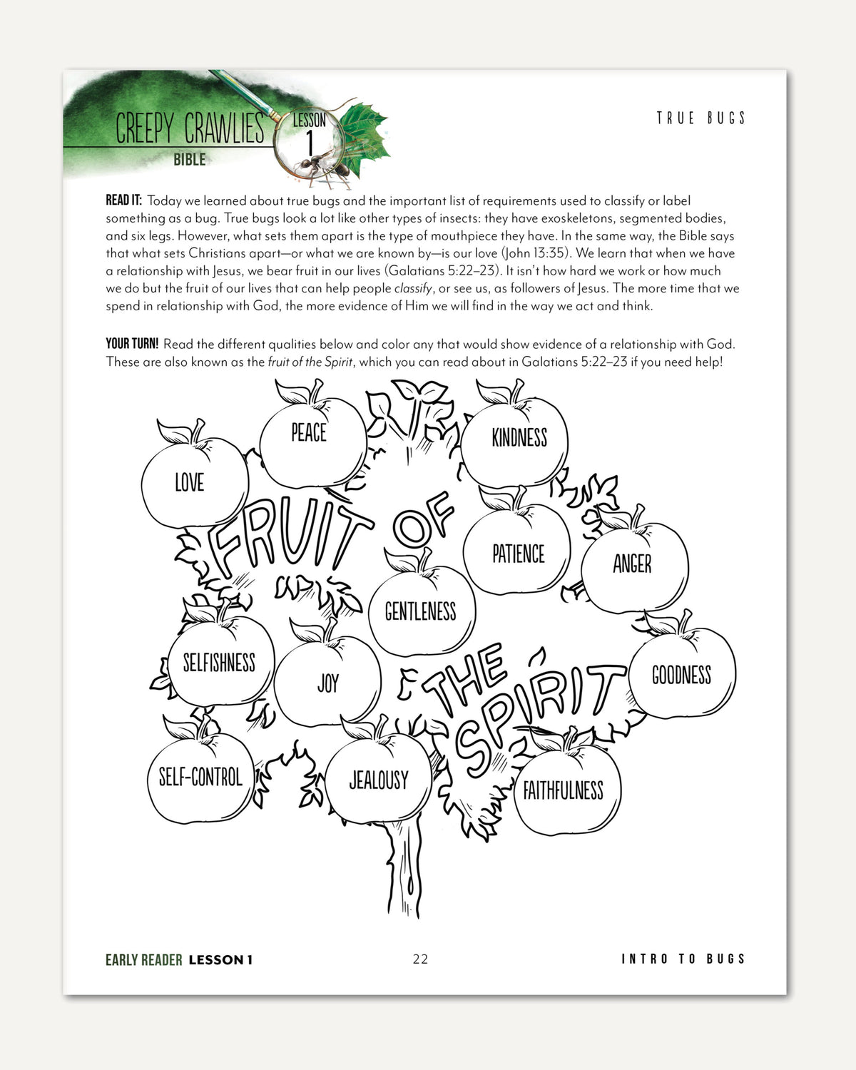 Creepy Crawlies Homeschool Unit Study Digital Early Reader Student Book Lesson 1 True Bugs