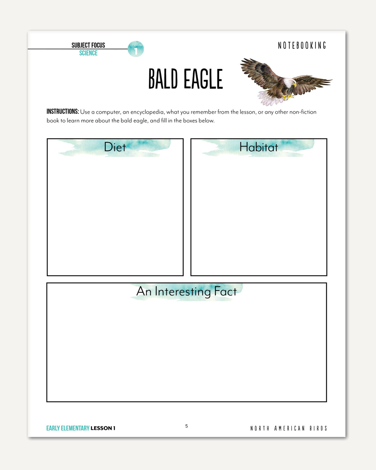 North America Birds part 1 homeschool unit study student workbook early elementary lesson one