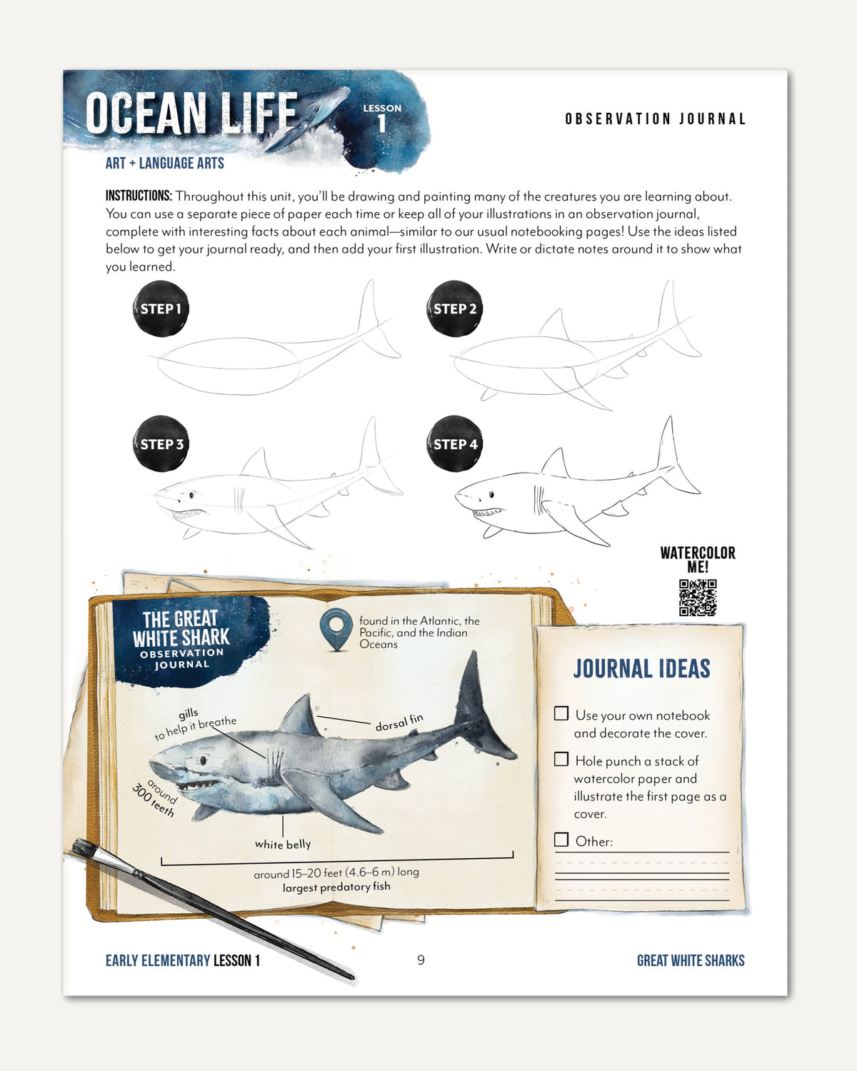 Ocean Life homeschool unit study digital student workbook for early elementary with teacher's guide bundle observation journal