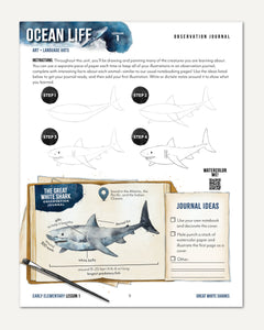 Ocean Life homeschool unit study digital student workbook for early elementary with teacher's guide bundle observation journal