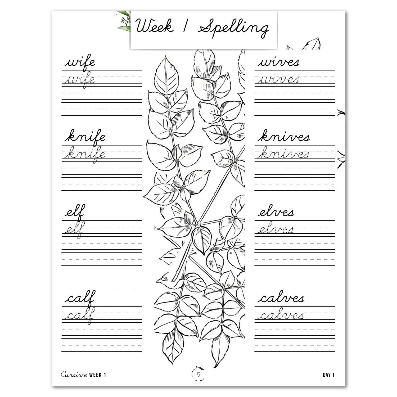 Botany Homeschool Unit Study Printed Cursive Book Week 1 Spelling