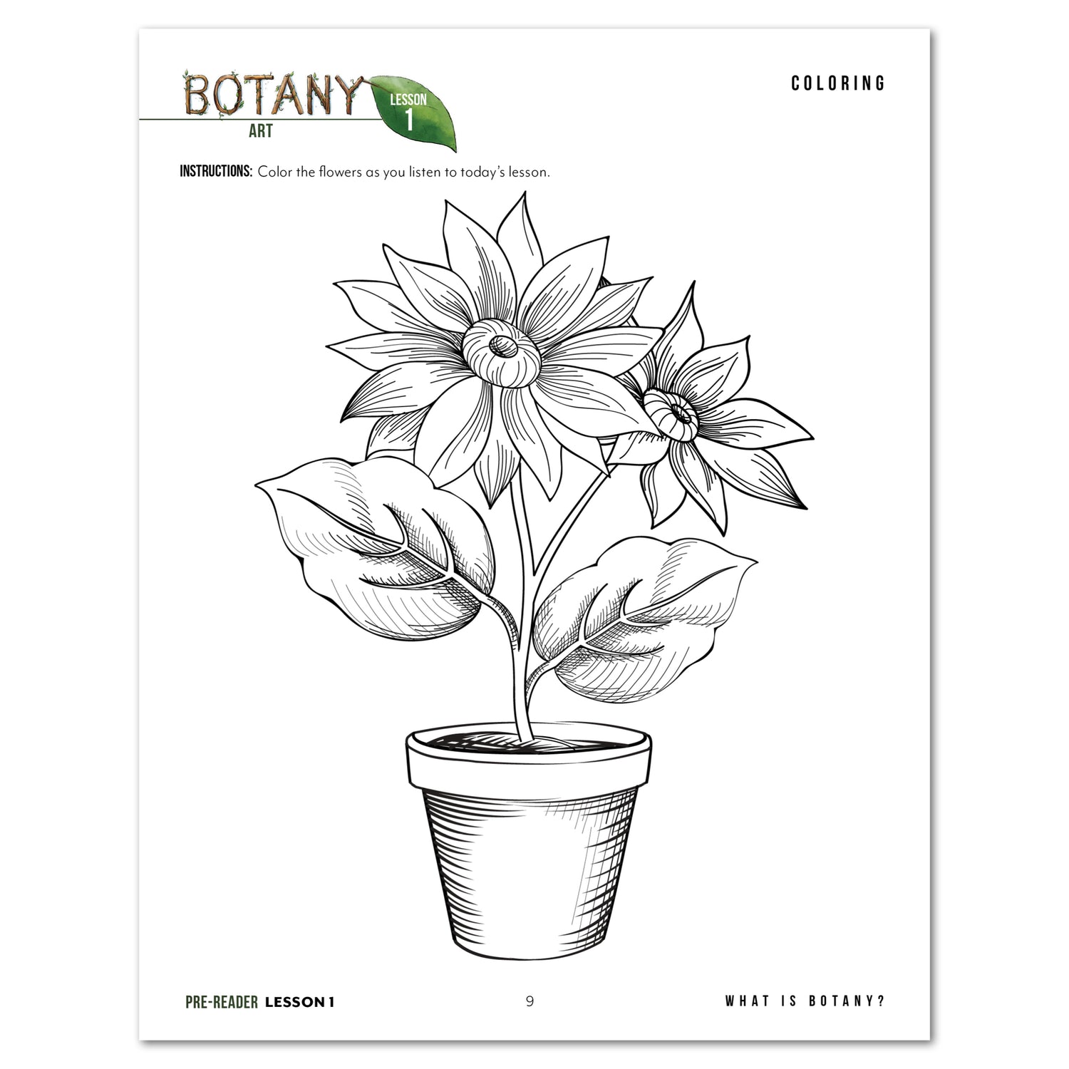 Botany Homeschool Unit Study Printed Pre-Reader Student Book Daily Lesson 1 Coloring