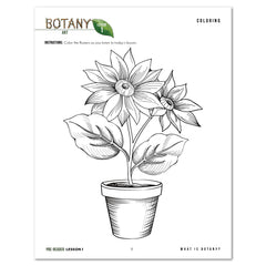 Botany Homeschool Unit Study Digital Pre-Reader Daily Lesson 1 Coloring