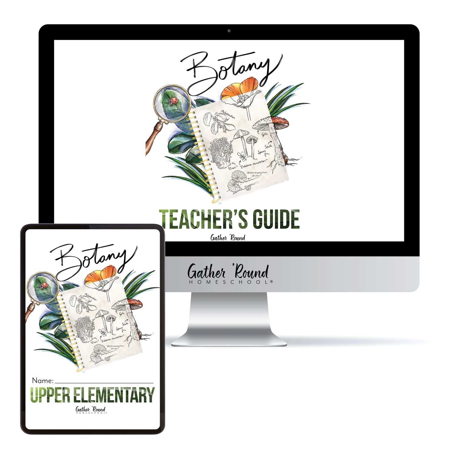 Botany Homeschool Unit Study Digital Bundle Teacher's Guide and Upper Elementary 