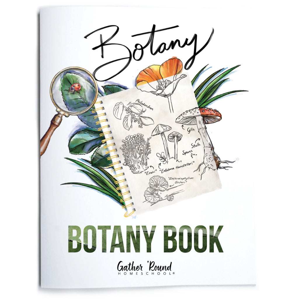 Botany Nature Journal