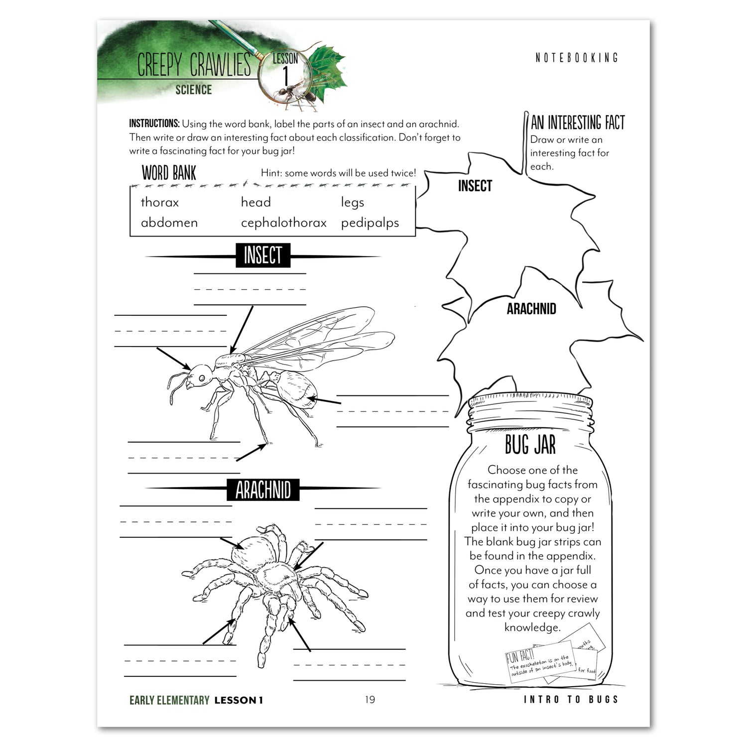 Creepy Crawlies Homeschool Unit Study Digital Early Elementary Student Book Lesson 1 Notebooking